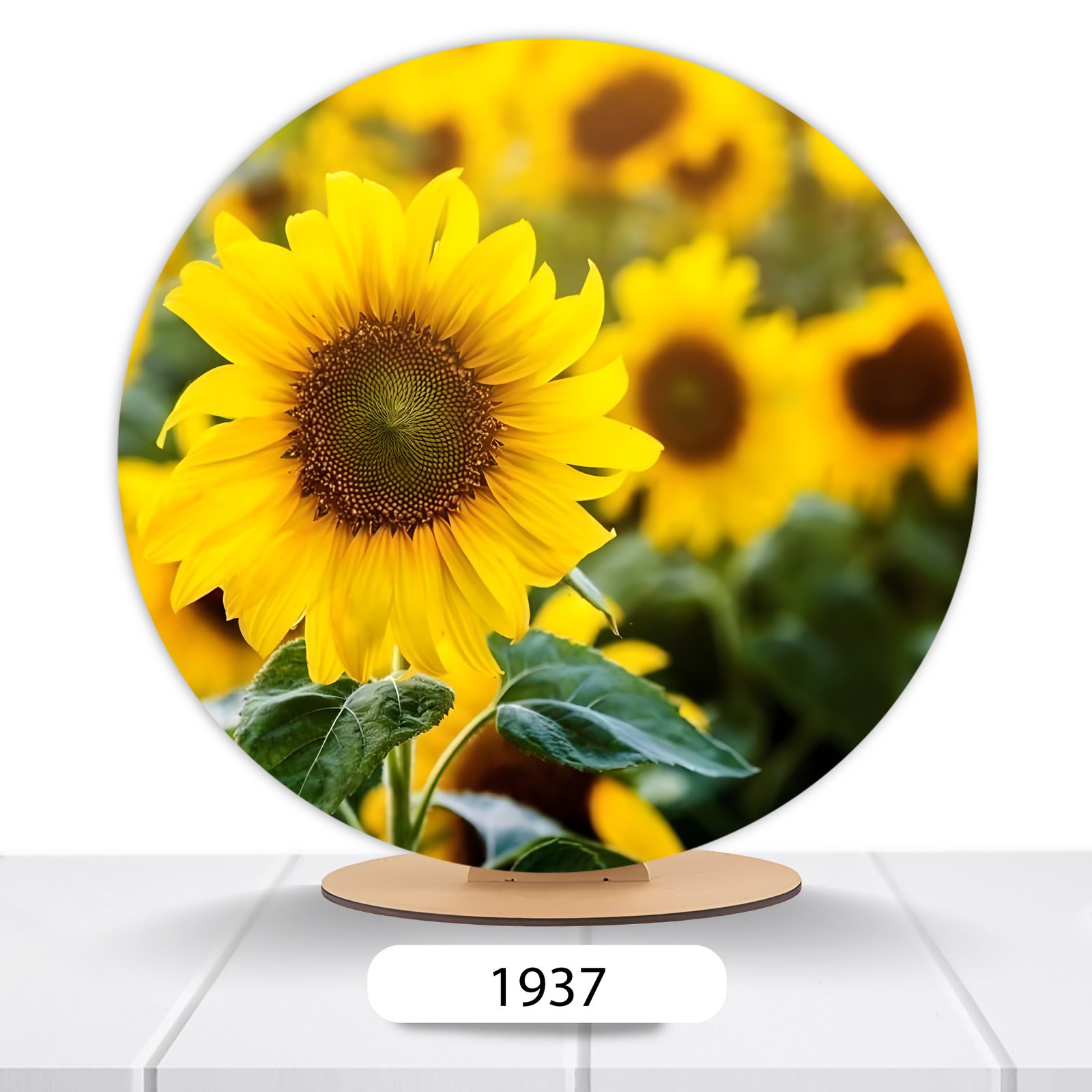 Painel Redondo Flores 50x50cm - Imagem 13
